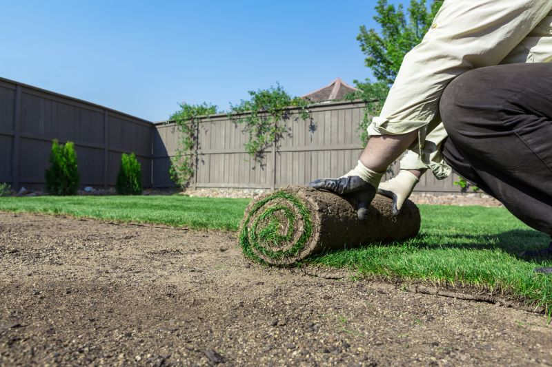 Bluegrass Sod Installation in Ventura County, CA