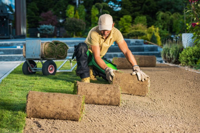 Grass Replacement in Ventura County, CA