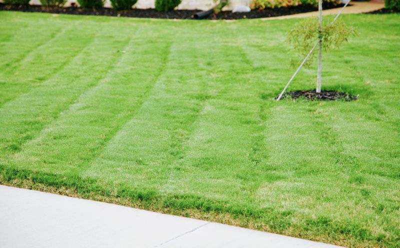 Lawn Installation in Aiken, SC