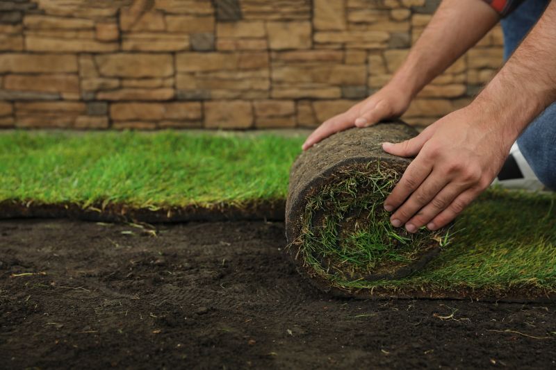 Lawn Sodding in Rockwall, TX