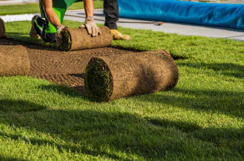Professional Sod Laying Team