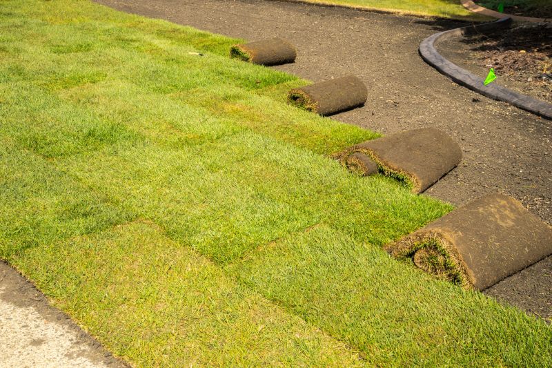 Sod Installation in Honolulu, HI