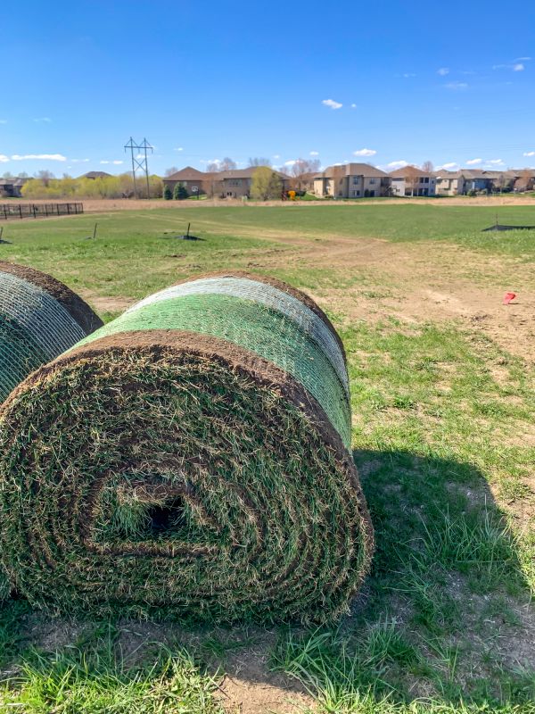 Large-Scale Sod Project
