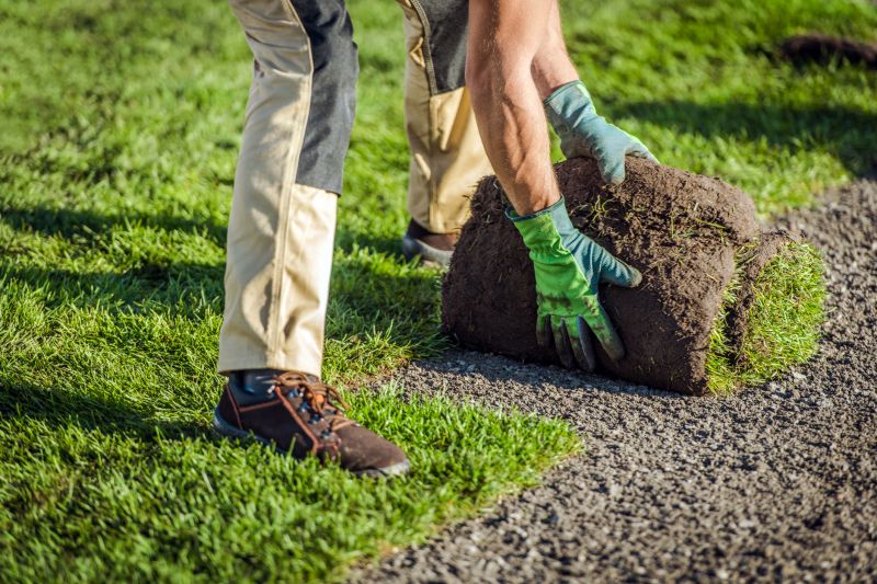 Seasonal Sod Installation