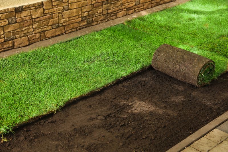 Yard Sod Installation in Honolulu, HI