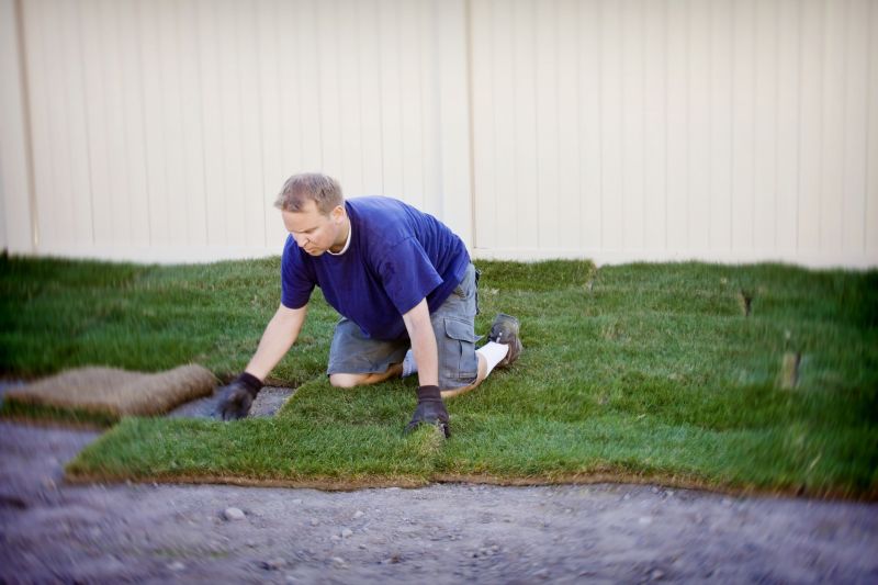 Yard Sod Installation in Rockwall, TX