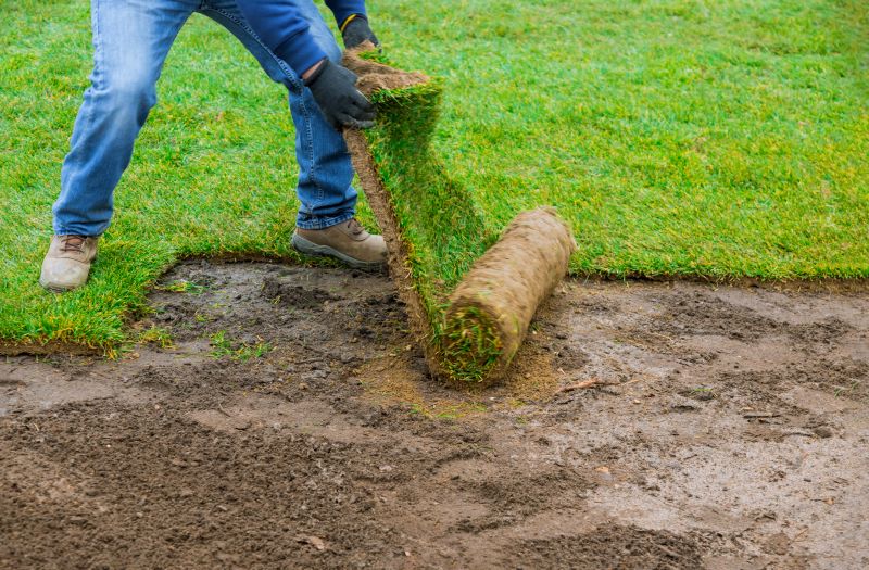 Zoysia Grass Installation in Honolulu, HI